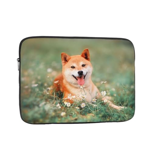 m[gp\RP[X Č   ԕ 킢  60°ی ϏՌ p\RobO ^ p\RJo[ y Vv ʊw ʋ rWlX jp lC v[g 12 C`