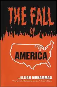 THE FALL OF AMERICA book cover