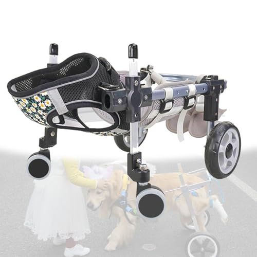 Aide à la mobilité pour pattes arrières de chien : fauteuil roulant réglable et léger