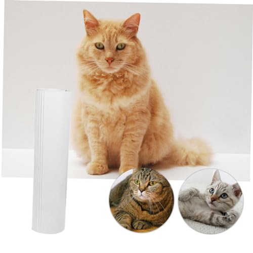 POPETPOP 1 Conjunto De Adesivos Para Treinamento De Brinquedos Para Animais De Estimação Sofá Suprim
