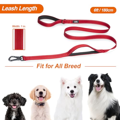 TwoEar 6FT 1IN Strong Red Dog Leash with 2 Padded Handles, Traffic Handle Extra Control, Comfortable Soft Dual Handle, Auto Lock Hook, Reflective Walking Lead for Small Medium and Large Dogs - Image 7