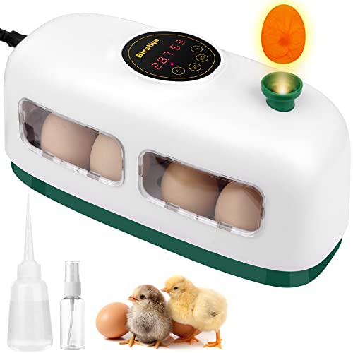 10 Best Small Chicken Egg Incubators for a Perfect Hatch! Furry Folly