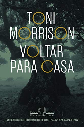 Voltar para casa - Morrison, Toni