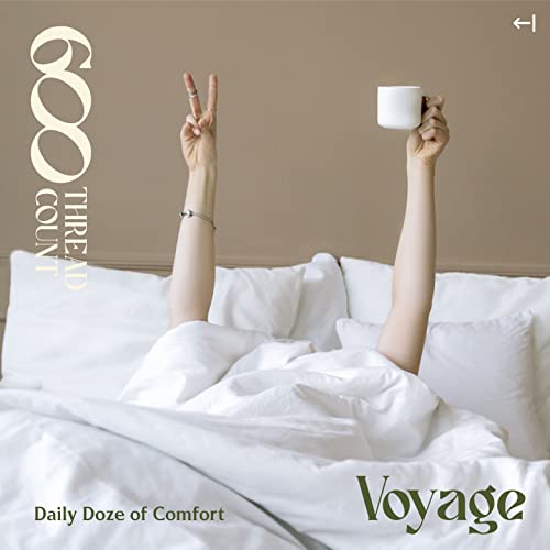 100% Cotton Printed Bed Sheets - Blue & Grey Dotted California King Striped Sheet Set - Hotel Luxury Sateen Weave Bedsheets - Deep Pockets - Breathable & Cooling Sheets For Cali Kings Size Bed #TOP2