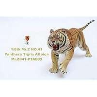 1/6 アムールトラ PTA001 イエロー[MR.Z] Amazon | Mr.Z 1/6 サイズ アムールトラ チョウセントラ