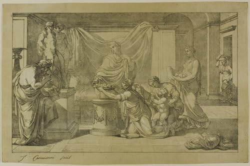 Tableau Toile pour habiller un grand mur vide peinture Vincenzo Camuccini 60x90cm