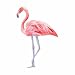 Watercolor Painted Pink Flamingo Full Color Vinyl Decal - Sized for Stainless Steel Tumbler