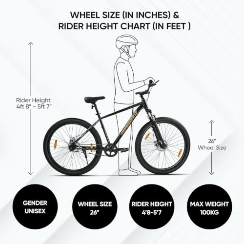 Image of ROADGIANT Squad BLACKGOLD-26 Z Black-Single Speed- Steel