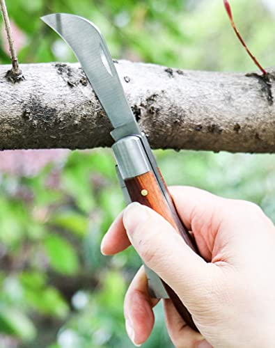 Cortador Manual para Injertos de Jardín QWORK miniatura 5
