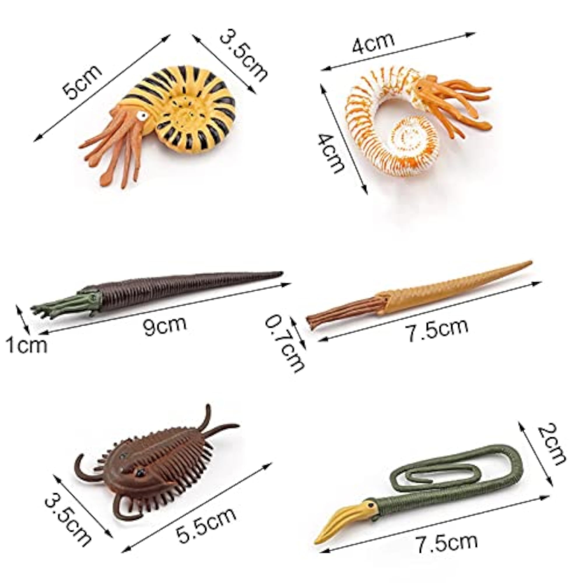 6 Pieces Prehistoric Marine Animal Model Figurine Decor
