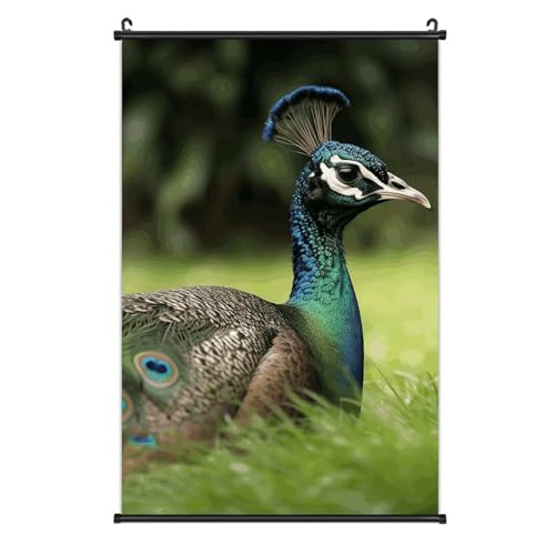Poster sur toile animaux paon 40x61 cm avec crochet amovible pour decoration murale