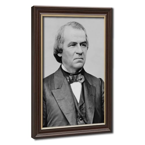 Andrew Johnson portrait décoration murale toile suspendre 20x30