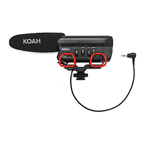 Image of Panasonic LUMIX FZ1000 II 4K 16x Long Zoom Digital Camera, Koah Roebling Bag with Accessory & Cleaning Kit, 64GB SDXC Canvas Go Plus 170MB /s Read Memory Card, Pro Shotgun Video Mic, and 2 Batteries