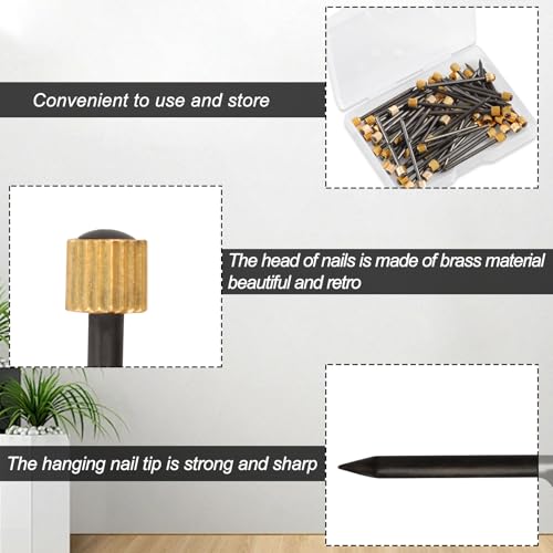 Image of SPEEDWOX 60 Pcs Picture Hangers Black Steel Nails and Brass Head Frame, Picture Hanging Nails for Hanging Picture Painting with Plastic Storage Box Holds Up to 5-30 lbs(Large)