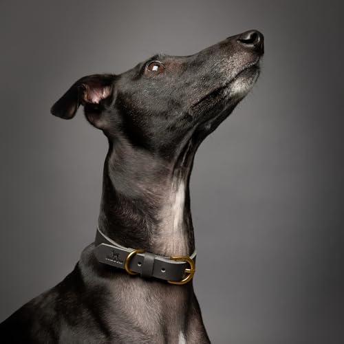 Image of NOAH & PAW Extra Small Dog and Cat Collar, Genuine Leather Dog Collar with Oil-Wax Finish, Heavy Duty Metal Buckle, Unisex Colors for Girl and Boy, Neck Size 9 inch-12 inch (Dark Blue).