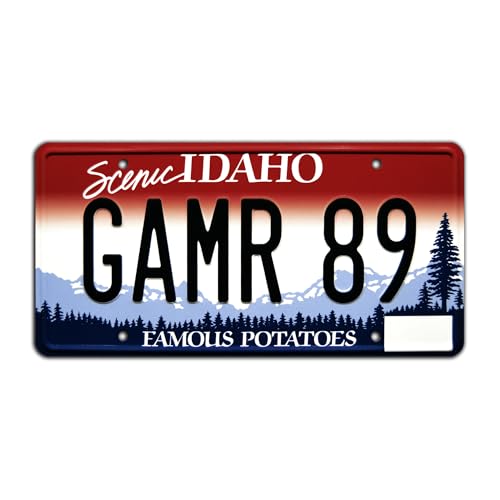 Celebrity Machines Garrett's Firebird Aluminum Vanity Plate