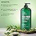 Botanic Hearth Tea Tree Body Wash | 16 Fl Oz | Helps Soothe Itchy, Dry Skin, Antifungal Body Wash With 100% Pure Tea Tree Oil | Sulfate Free, Paraben Free, For Men And Women