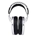 HIFIMAN Ananda Nano Open-Back Over-Ear Planar Magnetic Hi-Fi Headphones with Stealth Magnets and Nanometer Thickness Diaphragm
