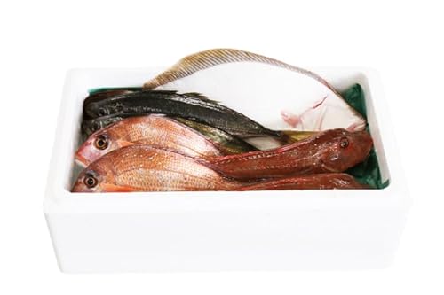 鮮魚 旬 獲れたて セット 3〜6匹 鮮魚便 海鮮 魚貝類 魚介類 鮮魚 旬 獲れたて セット 詰め合わせ さかな おさかな 魚 海の幸 福袋 FISH ごはん 夕飯 おかず おつまみ 晩酌 米 丼 三陸産 岩手県 大船渡市