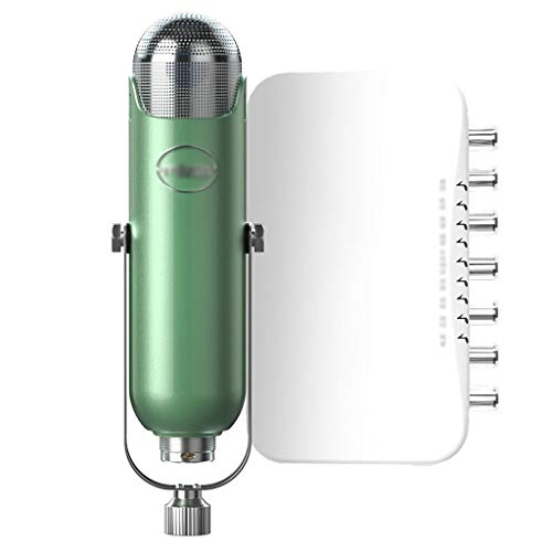 Live-Ausrüstung Soundkarte Set Universal Anker Rufen Weizen Singen Sonder Artifact Mikrofon Mikrofon (Color : C)