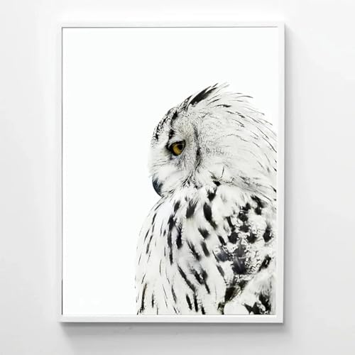 Tableau de rapace celebre toile murale hibou finition de qualite - 3