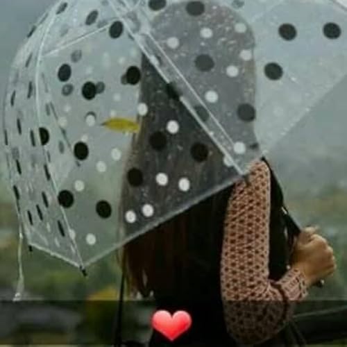 बारिश: मानव संबंधितता और प्रकृति का आदर्श अभिव्य