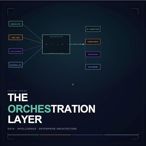 Series 14 - The Consolidation Code: Why Your Group Accounts Are a Controlled Estimate cover art
