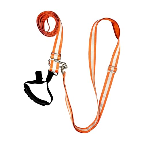 n[lX - IW AEghA  | ˃XgbvtXgbv - AEghA Lv s rꂽ n` r tB[h p