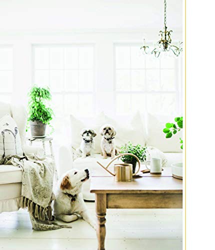Cozy White Cottage: 100 Ways to Love the Feeling of Being Home - Image 2