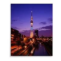 Amazon | 川沿いの桜 数字キットによる絵画 数字油絵 日本の田園風景