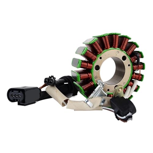 Stator de rechange haut de gamme pour G310 G310GS 2016-2023 - 6