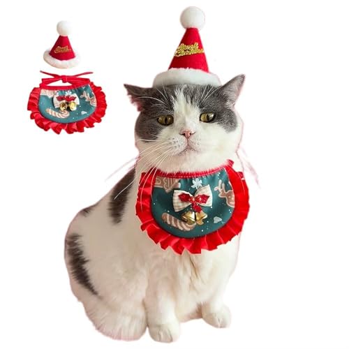 Yucahype NX}X ybg RX`[ RXv  Lp }t[ Xq  ߑ ybg ^ ^ ^ NX}X ʐ^Be (M bh)