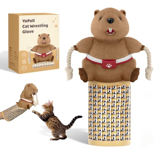 YoPoll Cat Wrestling Glove, Cats Puppet Wrestler with Tough Padding for Safe Interactive Play, Cat Wrestling Toy Puppet with Cats Teaser and Bell for Boredom Busting Training and Exercise
