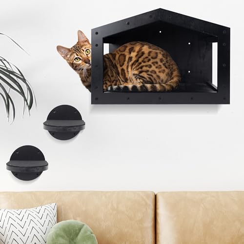 Holim Modern Cat Wall Shelves for Large Cats Set– Wall Mounted Cat Shelves for Wall with Condo, Shelf, Climbing Wall- Black