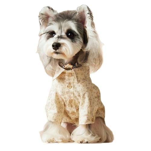 AtăX^CAvg{gVcAefBhbOAViEU[A}`[YA[NV[A_炩ĉKA킢đprȃX^CAzƒʋCAprȃX^CAȋC (L)