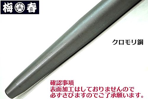 Amazon | 【特注品】梅春いちやオリジナル ボルシン（ヨセポンチ）2