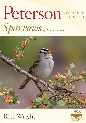 Peterson Reference Guide To Sparrows of North America (Peterson Reference Guides)