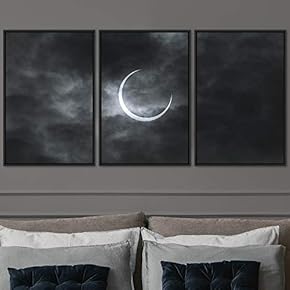 signwin 3 Piece Framed Canvas Wall Art Solar...