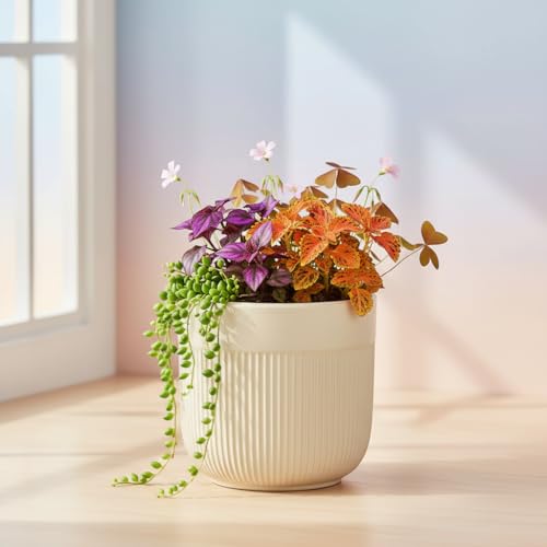 Image of Xtore Elegant Dual-Texture Ceramic Planter Pot for Indoor Plants | Modern Ribbed Flower Pot for Home, Office Desk & Balcony Decor (Cream Beige - Planter only)