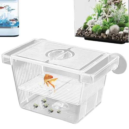 Kalastussaari Fish Breeding Box, Transparent Insulation Breeder Box for Fish Tank, 5x3x3 Detachable Plastic Small Fish Tank for Babies Fish, Shrimp, Clown Fish and Guppy Breeder Box for Fish Tank