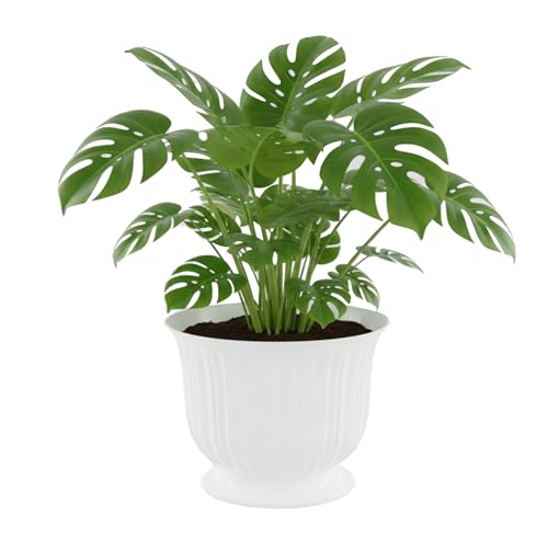 botle Vaso per fiori, rotondo, Ø 26 cm, bianco su piedi, vaso per fiori su piattaforma rialzata, per casa e giardino, vaso per tomba, composizioni di fiori artificiali e veri