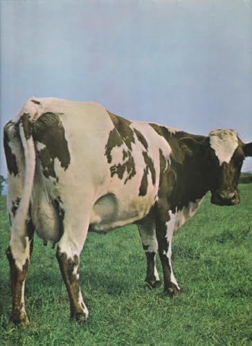 Image of Atom Heart Mother - SHZE 297 - Hörzu [Vinyl LP]