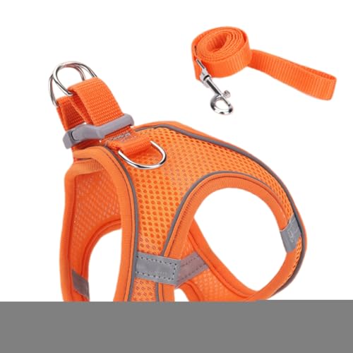 Lbg EH[LO n[lX | \tgbVxXg ːSXgCvt | ^ ^ ^ ybg xXgJ[ oR Lv AEghAp