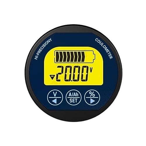 Afficheur LCD batterie étanche DELURA pour surveiller la charge 8-120V