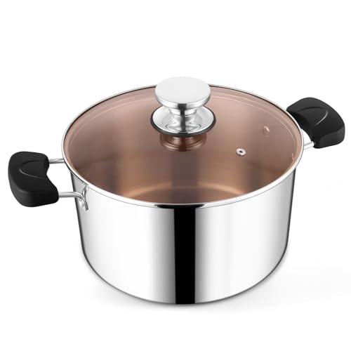 HaWare 7.7L Stainless Steel Stock Pot, 24.5cm Tri-Ply Large Stockpot for Cooking Pasta & Stewing Soup, Suit for Induction/Electric/Gas/Ceramic, Heat-Proof Handle & Clear Lid, Easy Clean