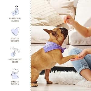 Threedogbakerypetzelbitespretzelcookiesfordogswholesomepuppydogtrainingtreatsbakeddogbiscuitsdeliciousdogtreats Urban Country Home Decor Three dog bakery pet zel bites pretzel cookies for dogs wholesome puppy dog training treats baked dog biscuits delicious dog treats urban country home decor