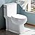 Two Piece Toilets for Bathrooms, Elongated Toilet with 17.5" Chair Height Soft Close Seat, 1.27 GPF Power Flush, Nano Self-Cleaning Glaze, WaterSense/1000g Map Certified, White ADA toilet 12" Rough In