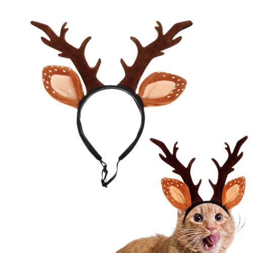 Bois de cerf de cerf pour animal domestique lors du réveillon