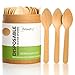 Wooden Disposable Mini Square Taster Spoons, Eco-Friendly Biodegradable Compostable Birchwood (Pack of 100) GO GREEN! (4.5" Taster Spoon)