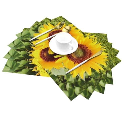 Set de table lavable anti-tache en PVC forme cœur pour table propre sans effort